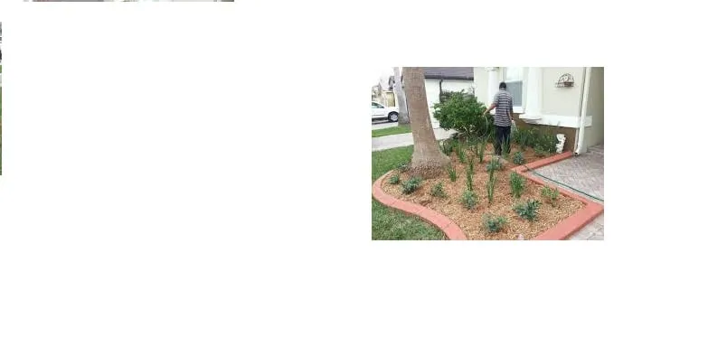 Expert yard maintenance experts serving Sarasota, FL - JAG Lawn Maintenance
