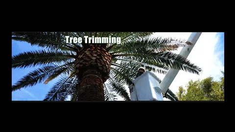 Reliable landscape design with custom design across Sarasota, FL - JAG Lawn Maintenance