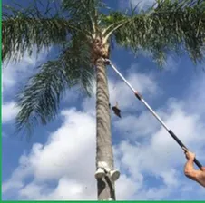 Professional lawn mowing service in St Petersburg, FL by JAG Property Solutions