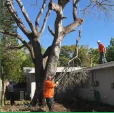 Custom outdoor landscaping in St Petersburg, FL - JAG Property Solutions