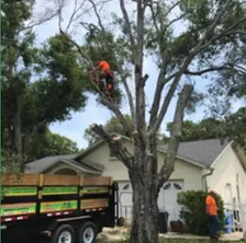 Top-rated landscape installation experts serving St Petersburg, FL - JAG Property Solutions