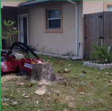 Professional landscape installation in St Petersburg, FL by JAG Property Solutions