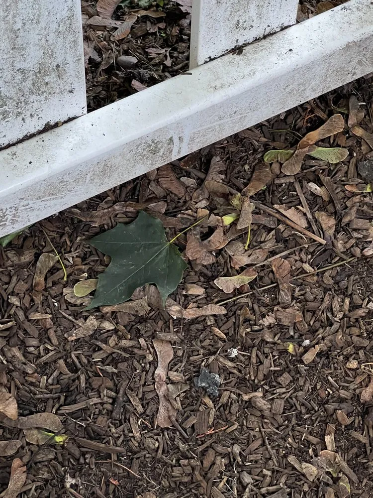 Custom landscaping services experts serving Oakland, NJ - Jager Landscaping