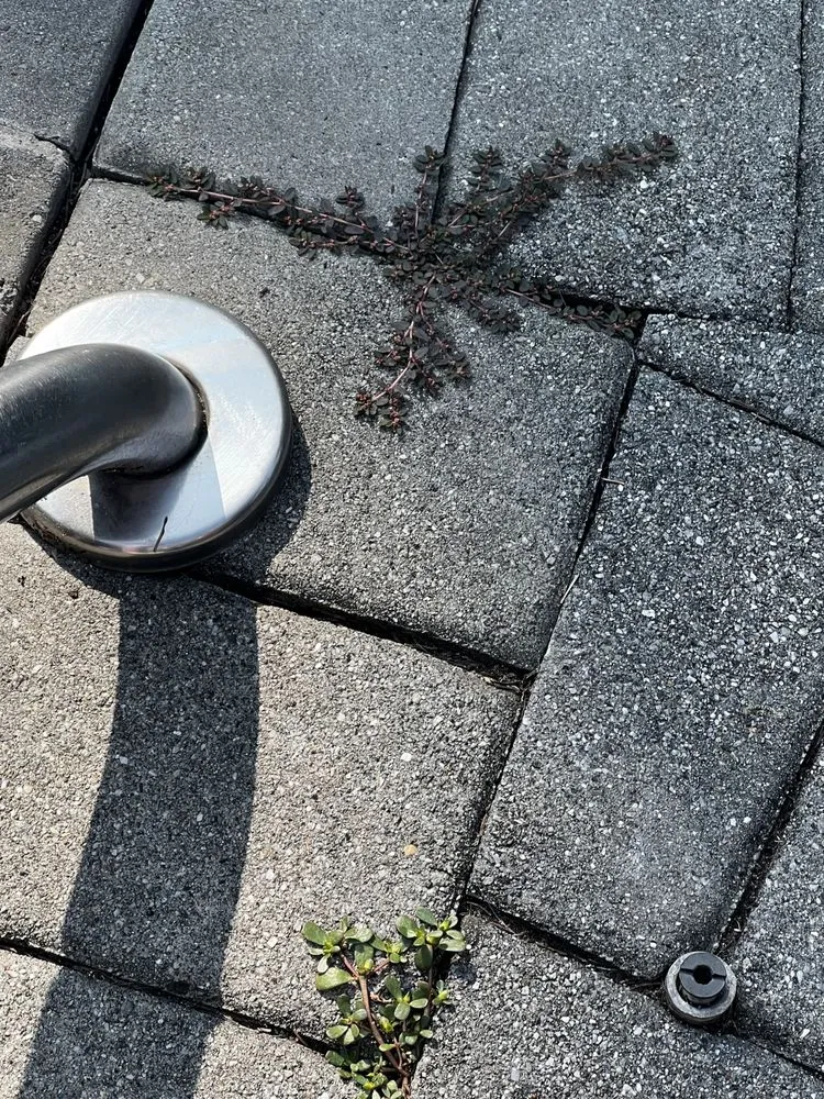 Professional landscaping services in Oakland, NJ by Jager Landscaping