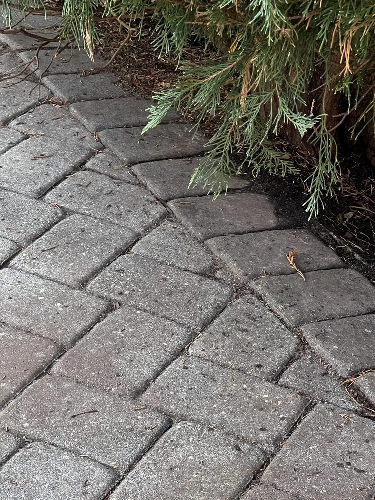 Custom landscape design for year-round maintenance across Oakland, NJ - Jager Landscaping