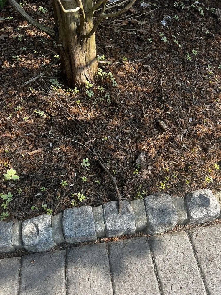 Local outdoor landscaping in Oakland, NJ by Jager Landscaping