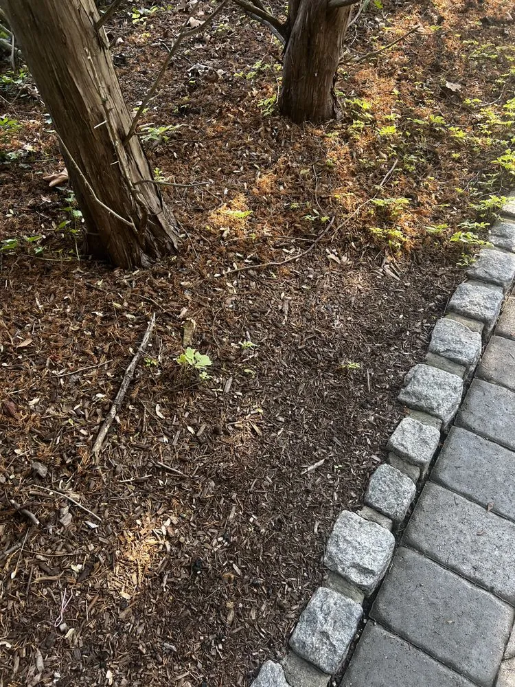 Expert lawn care service in Oakland, NJ - Jager Landscaping