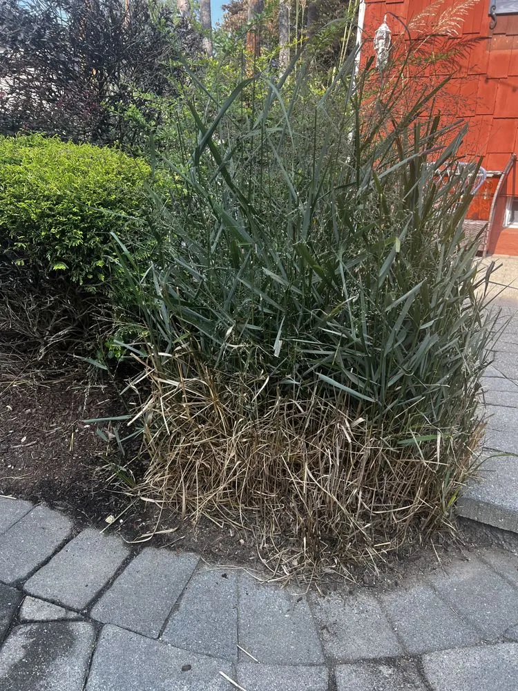 Affordable residential landscaping for residential properties in Oakland, NJ by Jager Landscaping