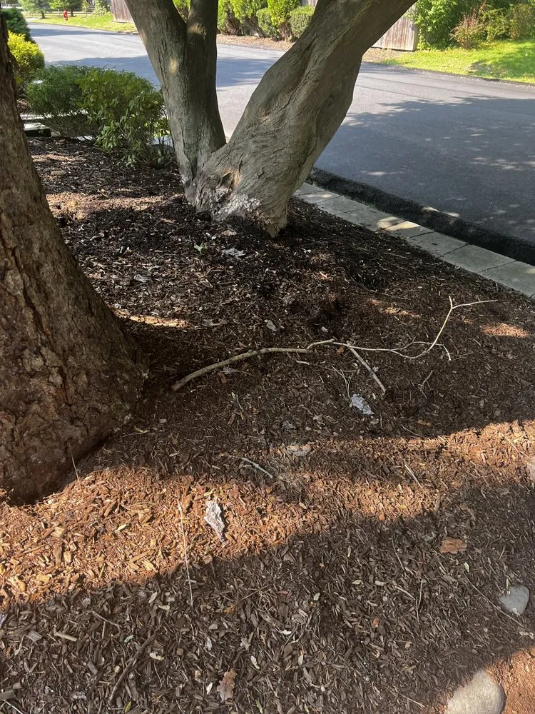 Reliable garden landscaping for homes across Oakland, NJ - Jager Landscaping