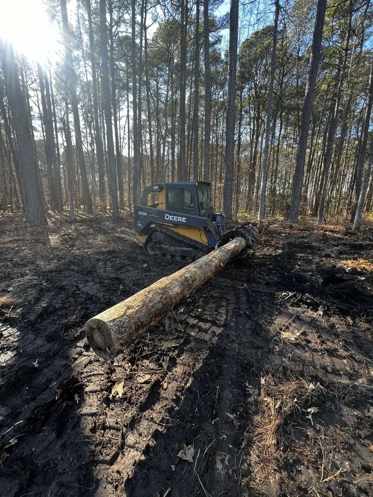 Reliable landscaping services in Easton, MD by Jagger Landscaping Services