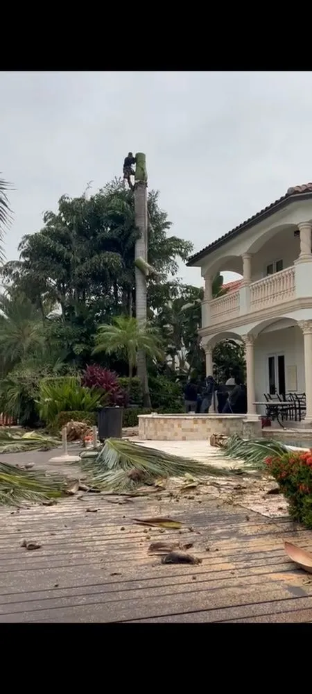 Reliable outdoor landscaping near you in Miami, FL by Jago Landscaping