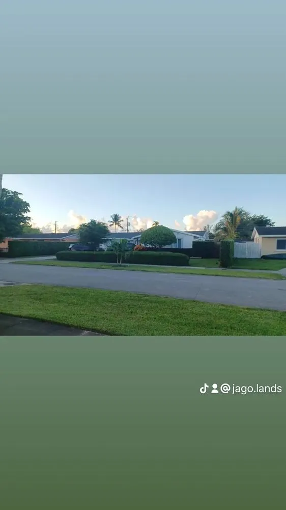 Local landscaping services with custom design in Miami, FL by Jago Landscaping