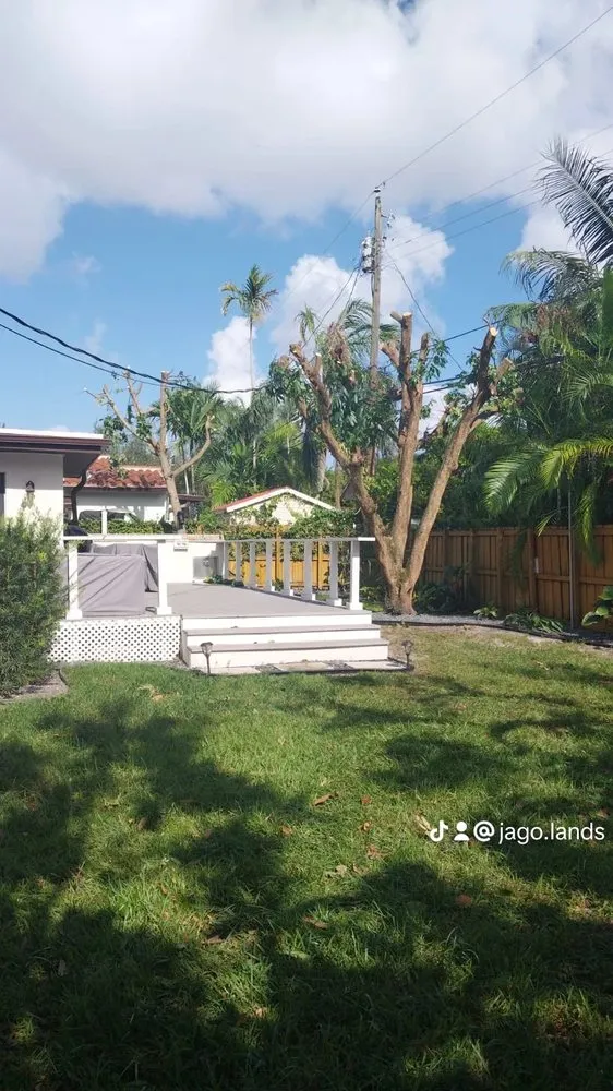 Expert residential landscaping experts serving Miami, FL - Jago Landscaping