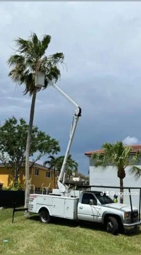 Trusted residential landscaping in Miami, FL - Jago Landscaping