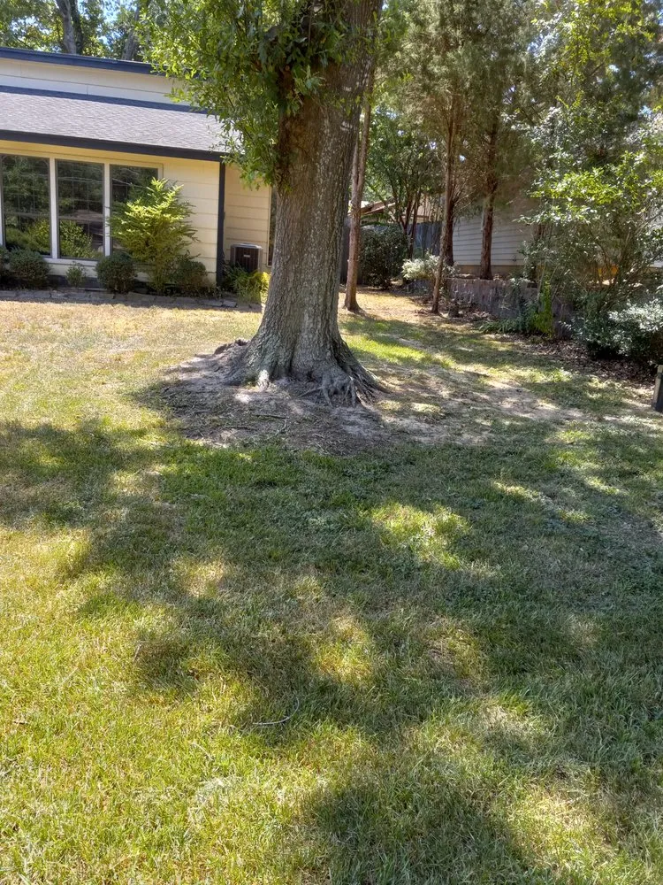 Affordable yard cleanup service for year-round maintenance across Spring, TX - Jagone Property Services