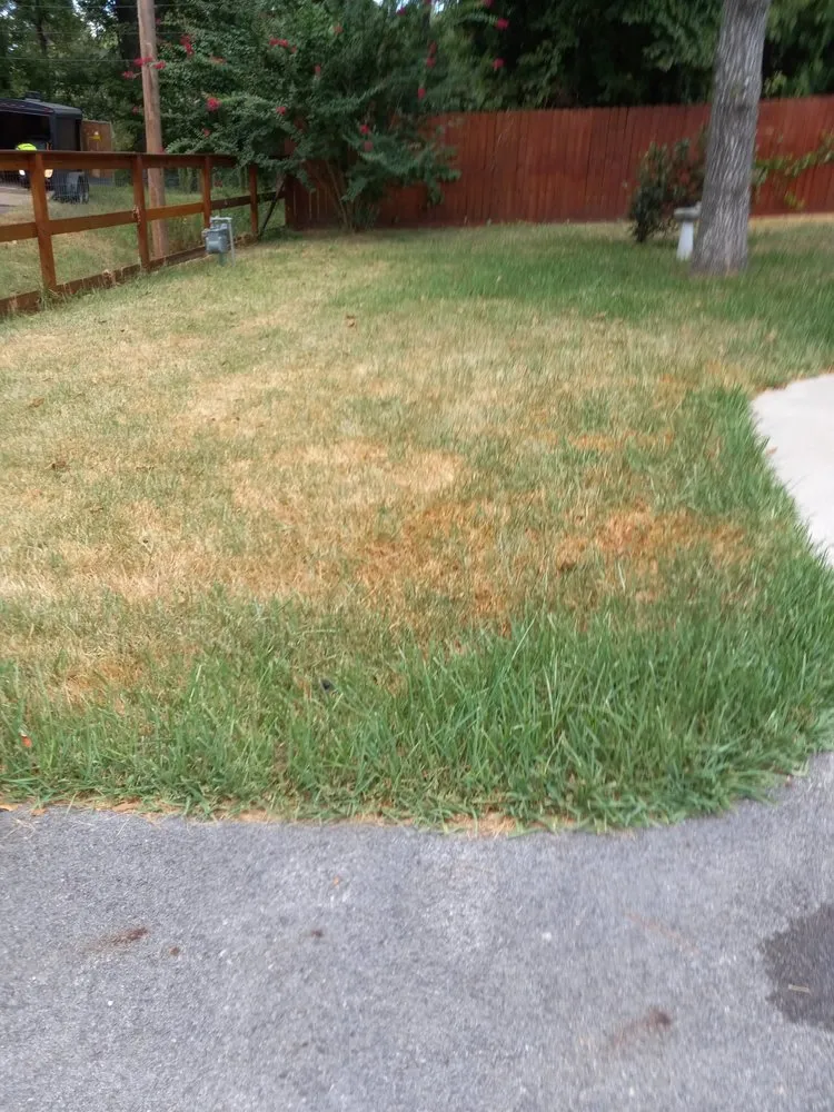 Trusted garden landscaping experts serving Spring, TX - Jagone Property Services