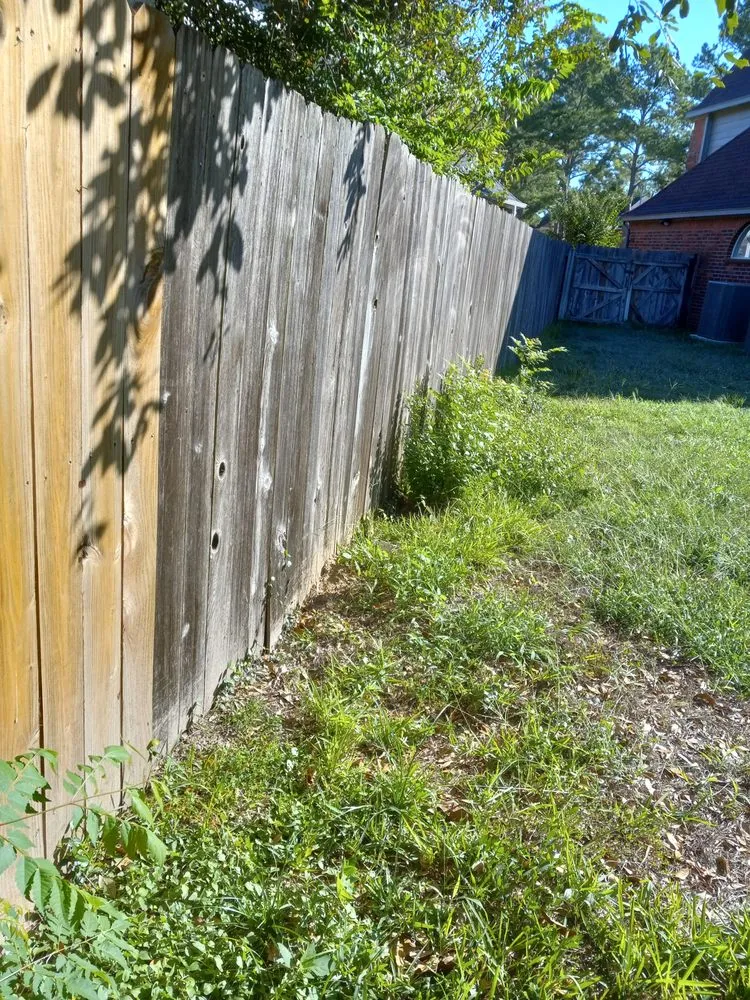 Local landscape design in Spring, TX - Jagone Property Services