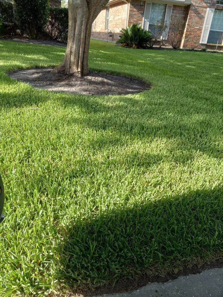 Top-rated landscaping services for outdoor upgrades in Spring, TX by Jagone Property Services