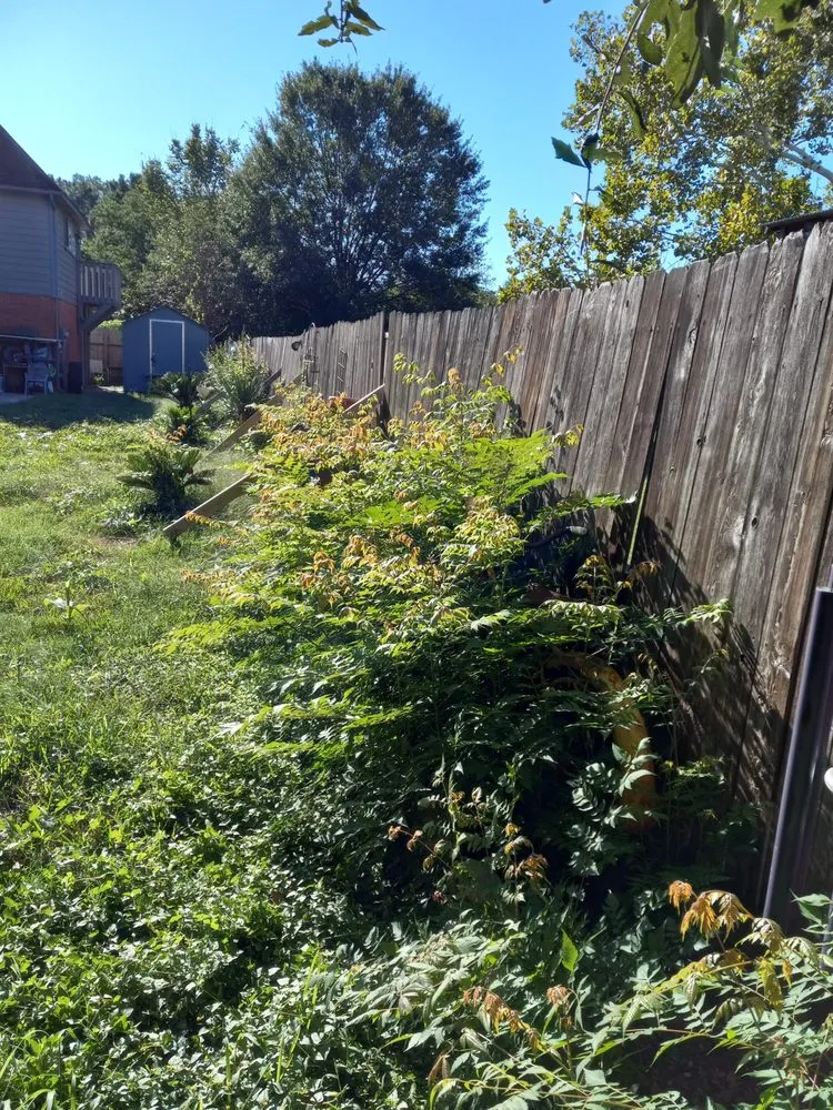 Reliable landscape installation with custom design across Spring, TX - Jagone Property Services