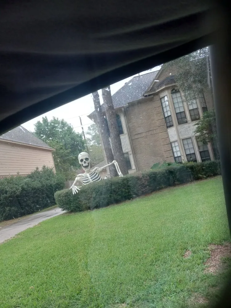 Reliable landscaping services for residential properties in Spring, TX by Jagone Property Services