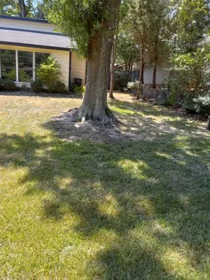 Jagone Property Services Logo