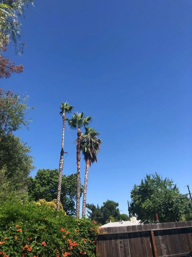 Reliable landscape installation for year-round maintenance in Concord, CA by Jags Landscaping Svc