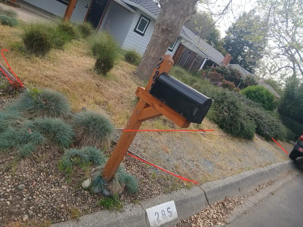 Trusted lawn care service in Concord, CA by Jags Landscaping Svc