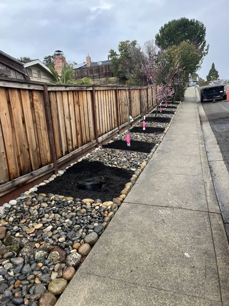 Trusted residential landscaping for beautiful yards in Concord, CA by Jags Landscaping Svc