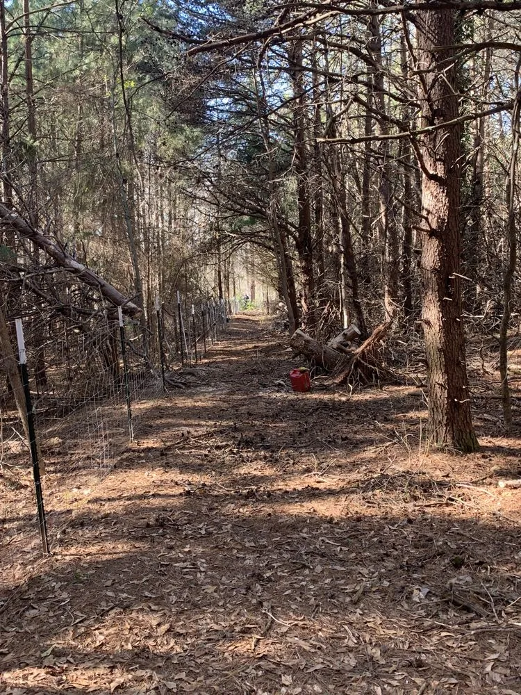 Expert yard cleanup service in Inman, SC - Jags Lawn Service