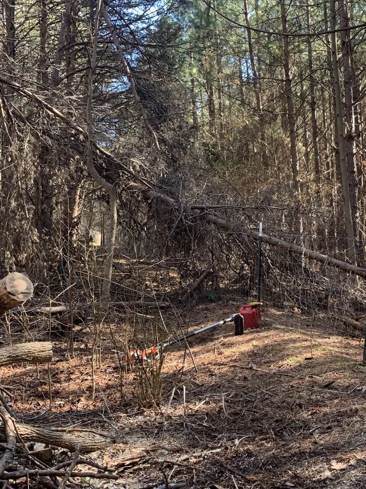 Top-rated yard maintenance for beautiful yards across Inman, SC - Jags Lawn Service