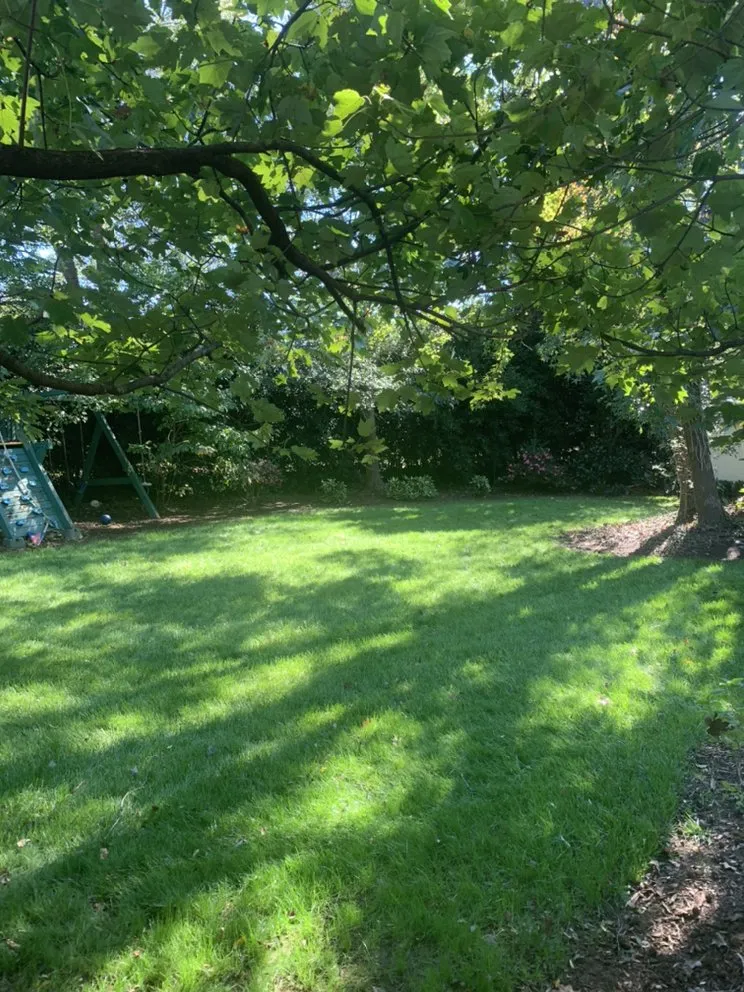 Top-rated landscaping services near you across Inman, SC - Jags Lawn Service