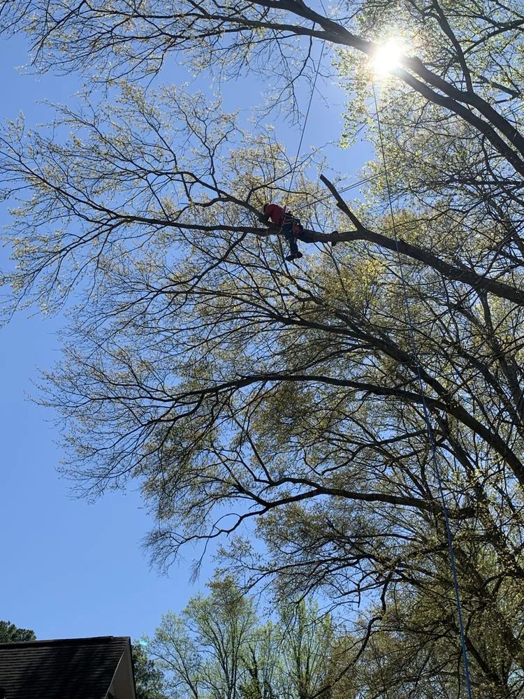 Expert residential landscaping in Inman, SC - Jags Lawn Service