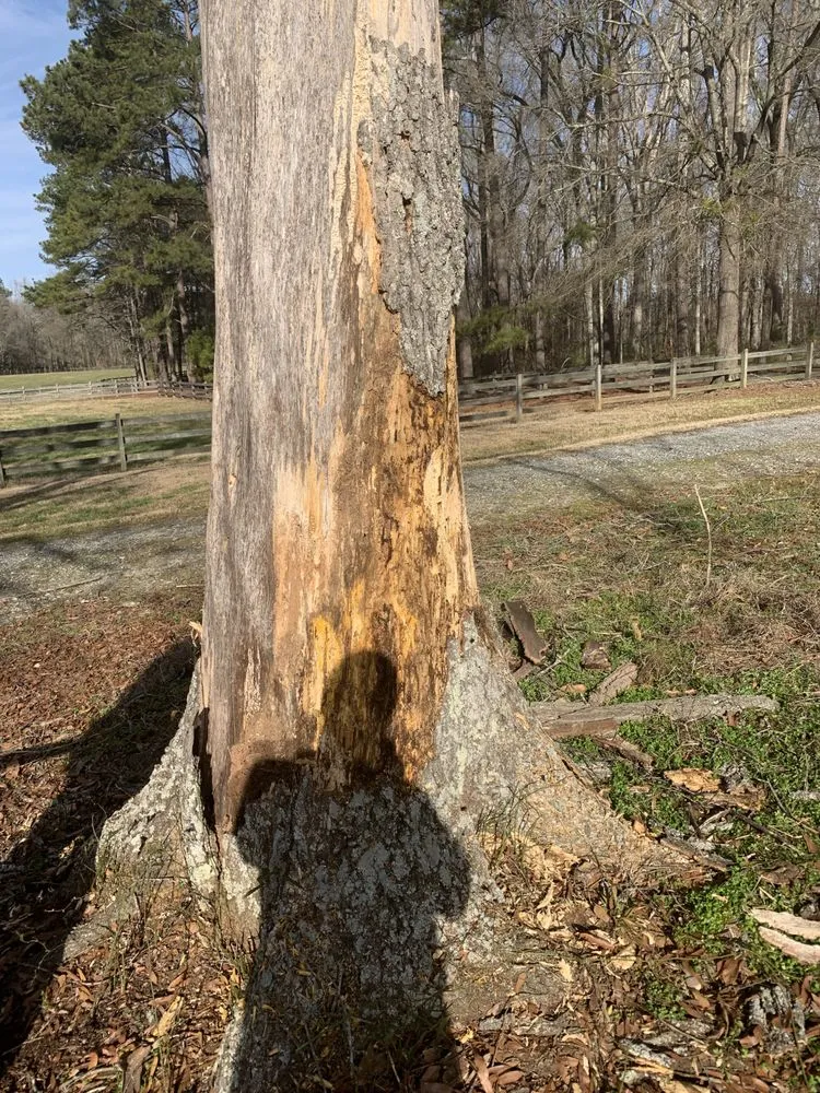 Local landscaping services in Inman, SC by Jags Lawn Service