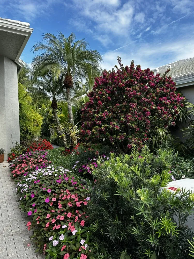 Professional yard maintenance for year-round maintenance across Boca Raton, FL - Jaguar Garden Designs