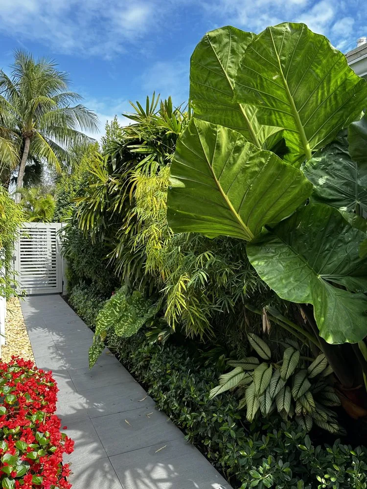 Top-rated lawn mowing service experts serving Boca Raton, FL - Jaguar Garden Designs