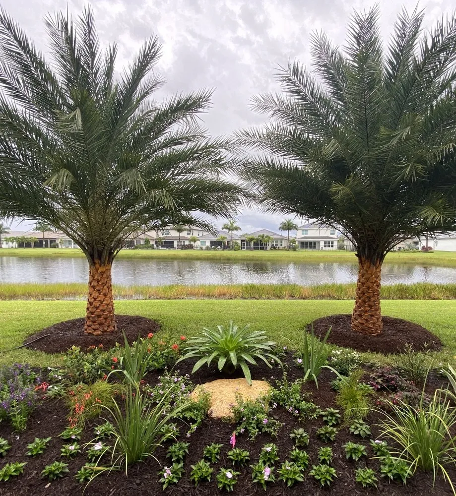 Expert outdoor landscaping in Boca Raton, FL - Jaguar Garden Designs