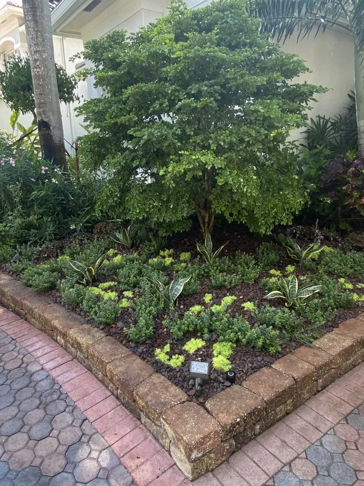 Custom lawn mowing service experts serving Boca Raton, FL - Jaguar Garden Designs