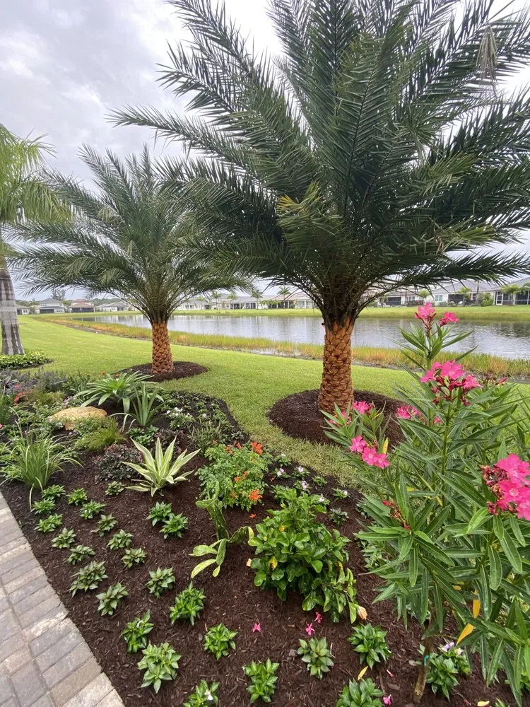 Professional residential landscaping experts serving Boca Raton, FL - Jaguar Garden Designs