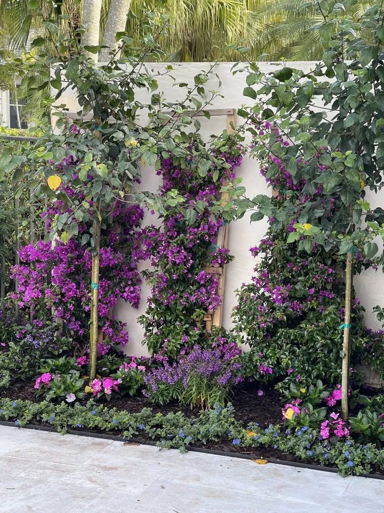 Local landscape design in Boca Raton, FL - Jaguar Garden Designs