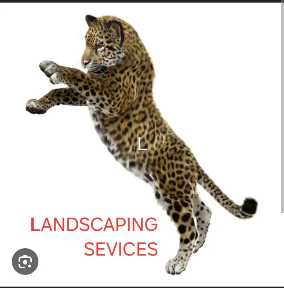 Top-rated lawn care service for residential properties in Redwood City, CA by Jaguar Landscaping