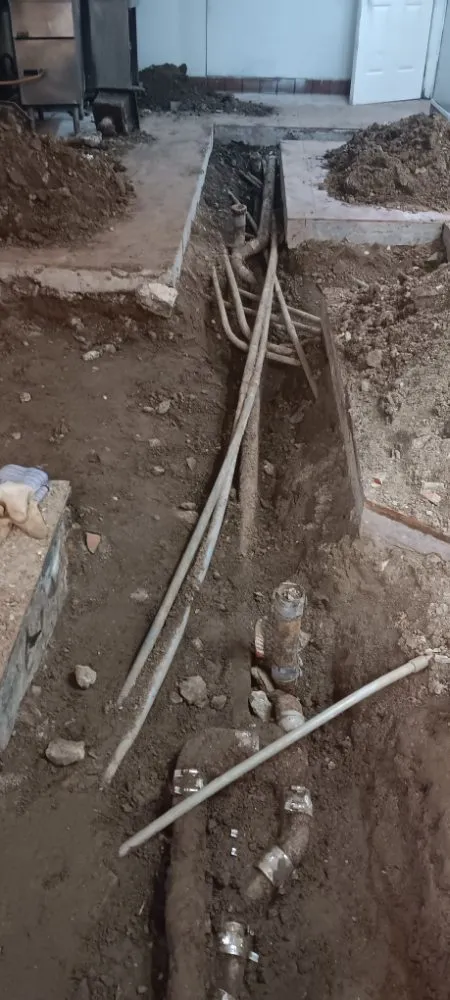 Top-rated lawn mowing service in Redwood City, CA by Jaguar Landscaping