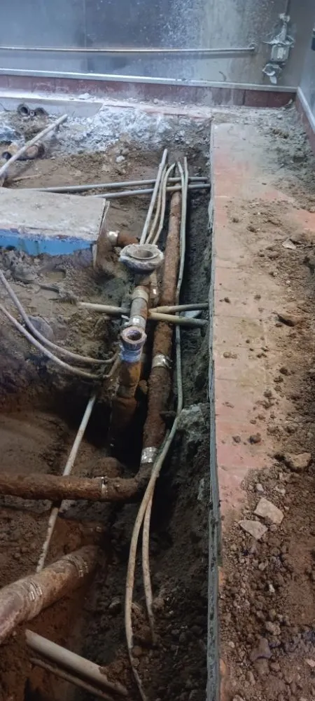 Affordable residential landscaping in Redwood City, CA - Jaguar Landscaping