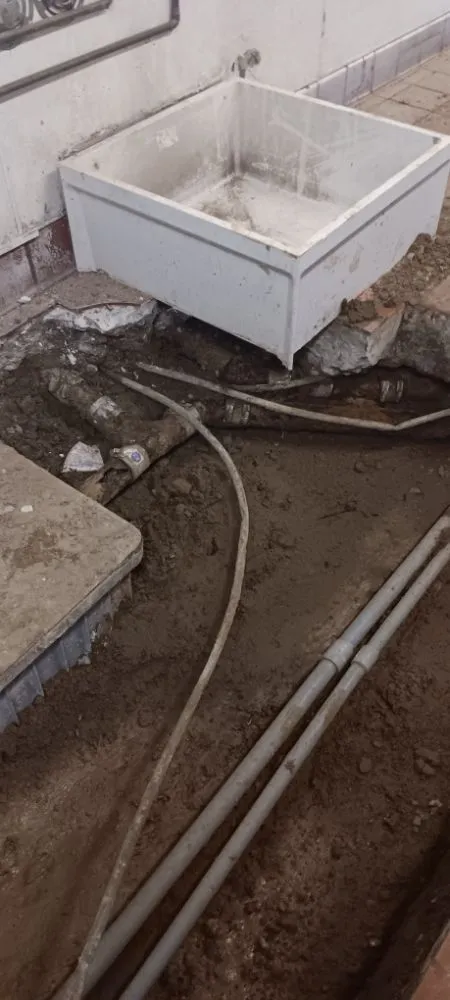 Professional yard cleanup service experts serving Redwood City, CA - Jaguar Landscaping