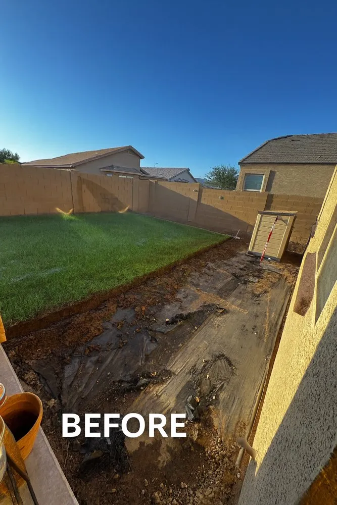 Local landscape design in Phoenix, AZ by Jaguars Landscaping