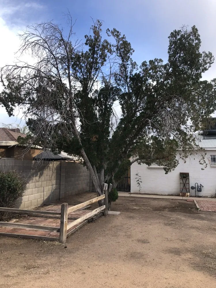 Trusted landscaping services for homes in Phoenix, AZ by Jaguars Landscaping