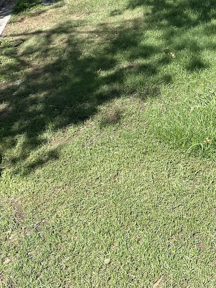 Top-rated landscape installation in Phoenix, AZ - Jaguars Landscaping