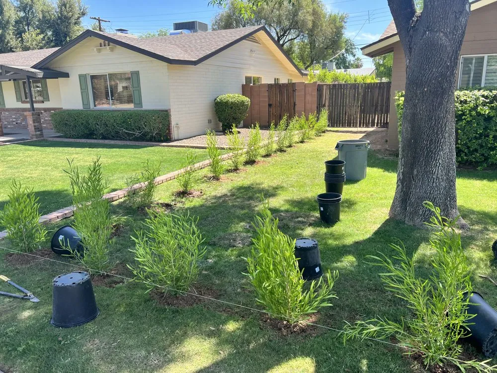 Top-rated yard cleanup service for homes in Phoenix, AZ by Jaguars Landscaping