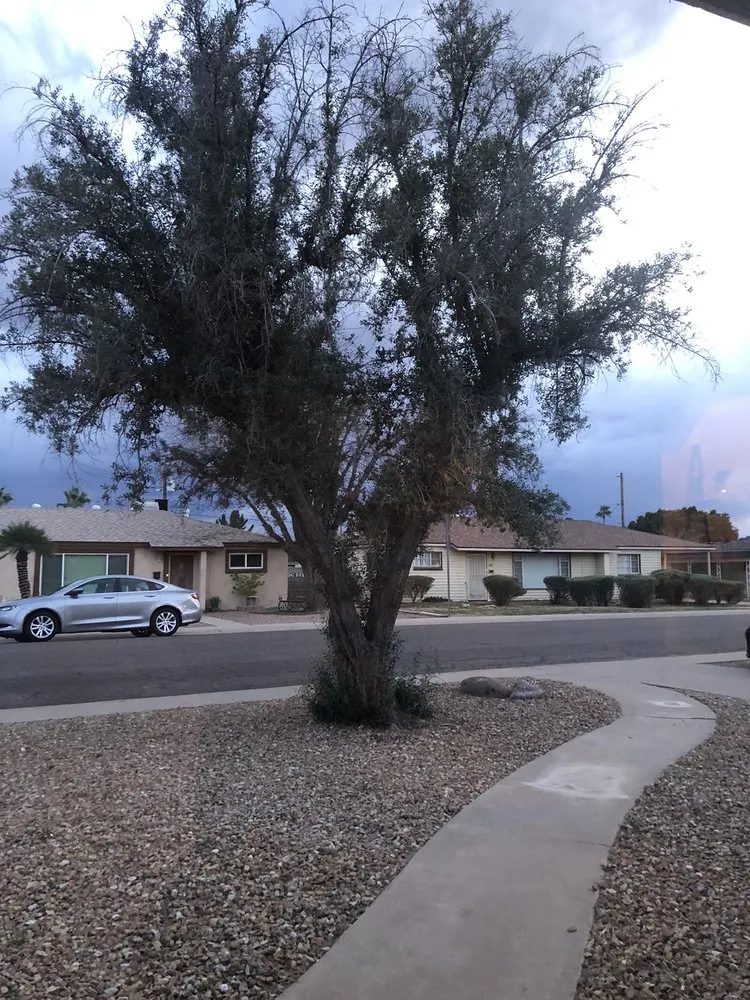 Affordable lawn mowing service experts serving Phoenix, AZ - Jaguars Landscaping