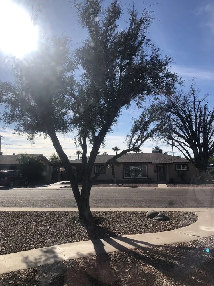 Professional lawn mowing service in Phoenix, AZ by Jaguars Landscaping