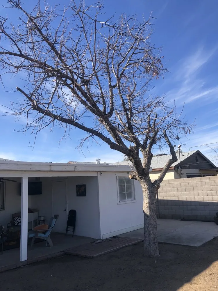 Local landscaping services for beautiful yards across Phoenix, AZ - Jaguars Landscaping